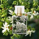 Raat ki Raani attar